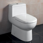 Antila 1-piece Dual Flush Toilet with Soft Close Seat