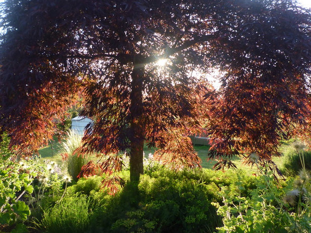 by Claudia De Yong Garden Design