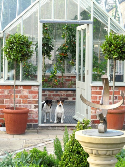 Traditional Garden by Sue Hayward Garden Design Ltd