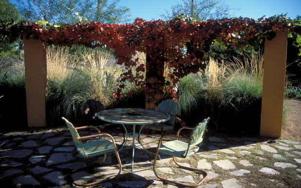 Eclectic Patio by Mountain States Wholesale Nursery