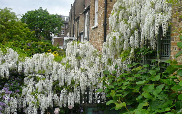 by Claudia De Yong Garden Design