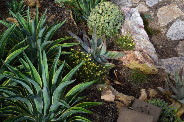 Mediterranean Landscape by Nick Martin Landscape Architect Inc.