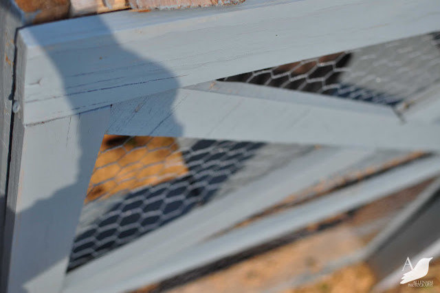 Backyard Living: The Scoop on Chicken Coops