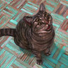 Marianne Holdiman's photo