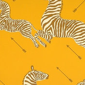Zebras Wallpaper, Zanzibar Gold