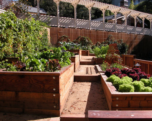 Tiered Raised Beds Home Design Ideas, Pictures, Remodel ...
