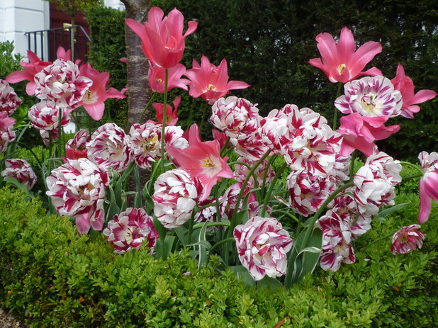 by Claudia De Yong Garden Design