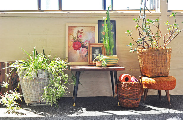 Eclectic  by Tamara Armstrong