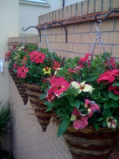 Lime Biclor Hanging Cones