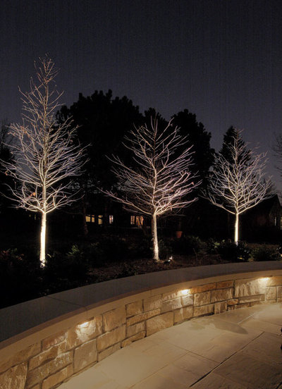 Traditional Patio by McKay Landscape Lighting