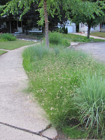 Contemporary Landscape by Creating Sustainable Landscapes, LLC