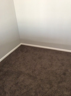 Which color carpet with gray walls? (Bedroom)