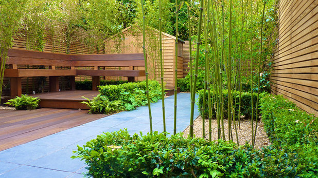 Contemporary Garden by Cityscapers