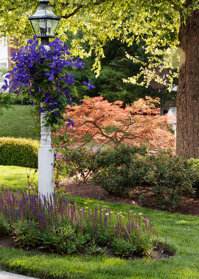 Traditional Landscape by D & A Dunlevy Landscapers, Inc.