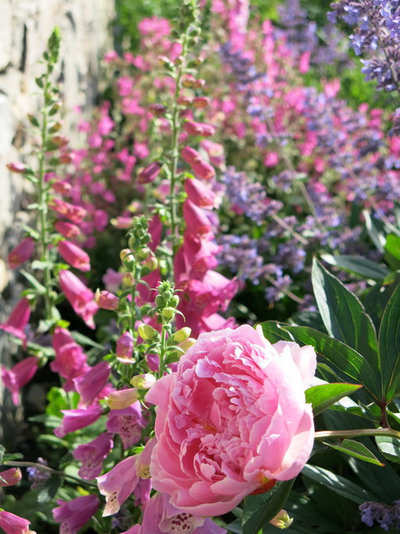 Traditional Garden by Llama Group