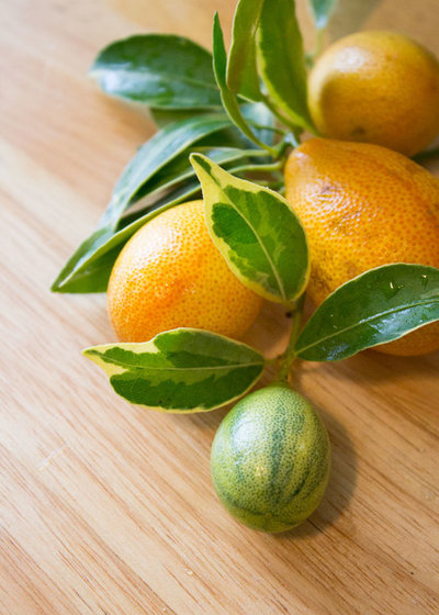 Kumquats