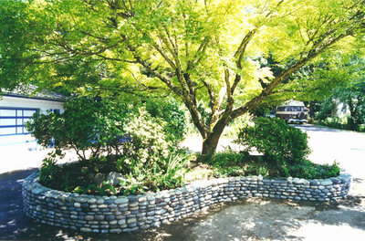 Landscape by beautiful bones and purple stones