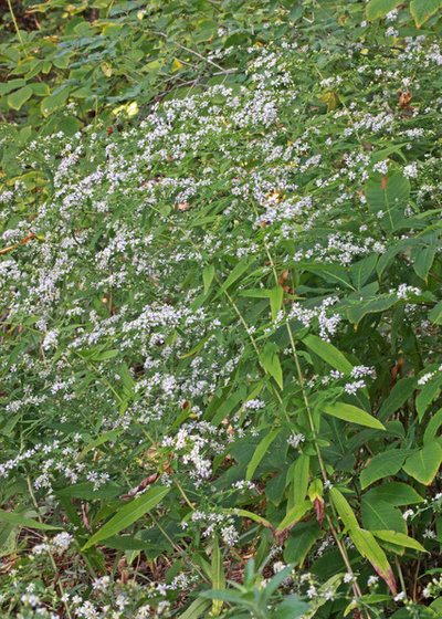 2014.09.23_18.07.47_IMG_0828