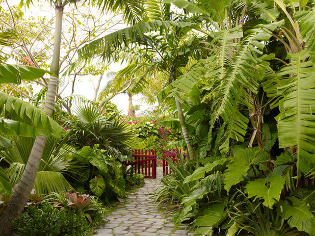 Tropical Landscape by Raymond Jungles, Inc.