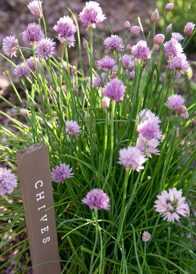 Arts & Crafts Garden by Lucy Call