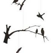 Birds of a Feather Modern Mobile