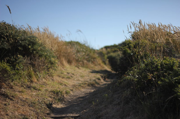 Sea Ranch