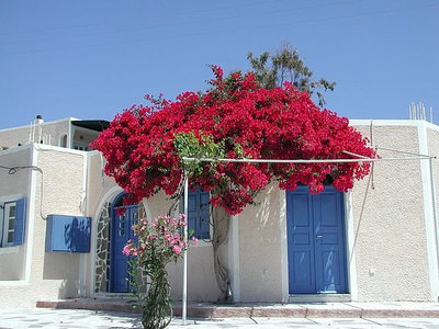 Mediterranean  Greek House