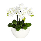 Phalaenopsis Silk Flower Arrangement