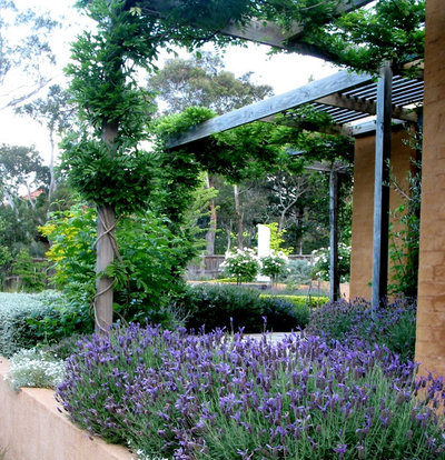 Traditional Garden by Arthur Lathouris Garden Designer