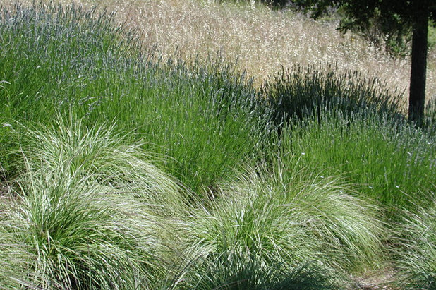 Modern Garden by Blasen Landscape Architecture