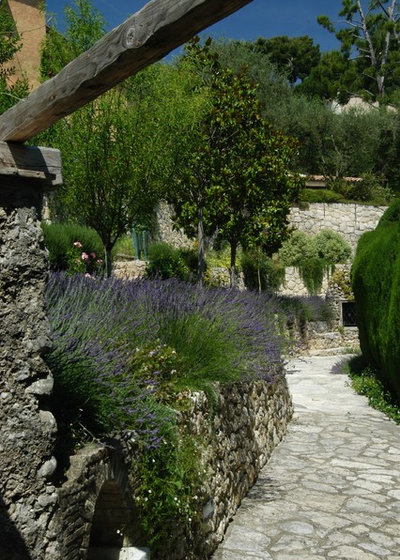 Mediterranean Garden by Atelier Nelumbo Garden Design