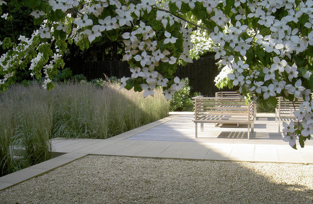 Contemporary Garden by Annie Pearce