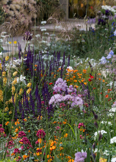 Contemporary Garden by Chris Snook