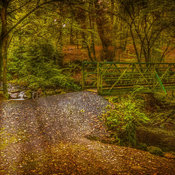A bridge to autumn