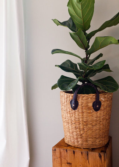 Houzz tips: lad fantasien blomstre med hjemmelavede krukker