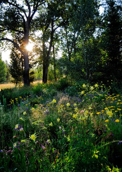 Traditional Landscape by HABITAT Landscape Architecture