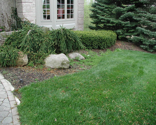 Front Entrance Garden Update