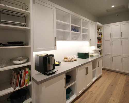 Modern U-shaped Kitchen Pantry Design Ideas, Renovations & Photos