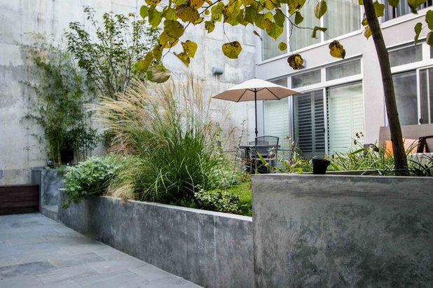 Contemporary Landscape by Outside Space NYC Landscape Design