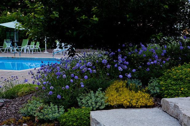 Traditional Landscape by Blue Ridge Landscaping