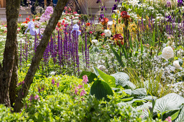 Contemporary Garden by Chris Snook