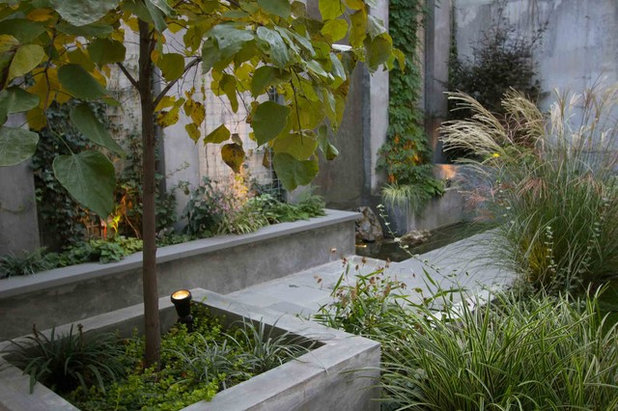 Contemporary Landscape by Outside Space NYC Landscape Design
