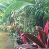 Daintree Rainforest Retreat's photo