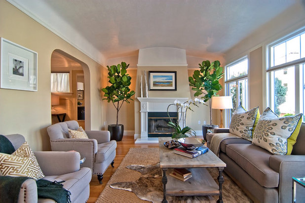 Contemporary Living Room by Tamara Mack Design