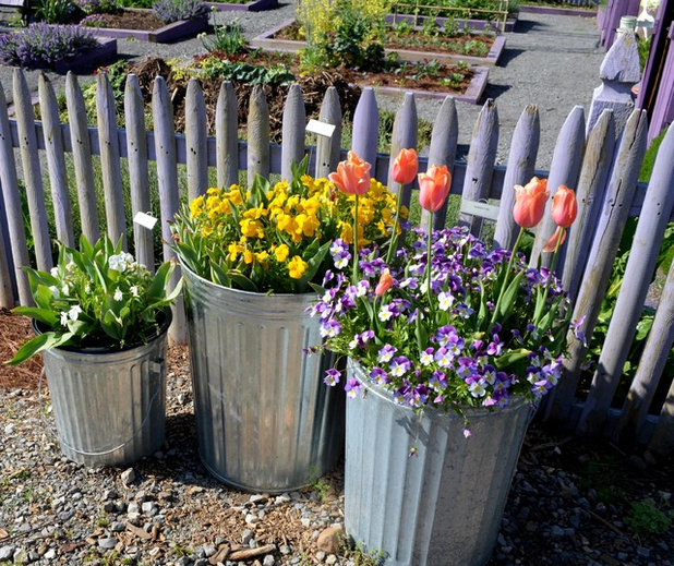 Landscape by Noelle Johnson Landscape Consulting