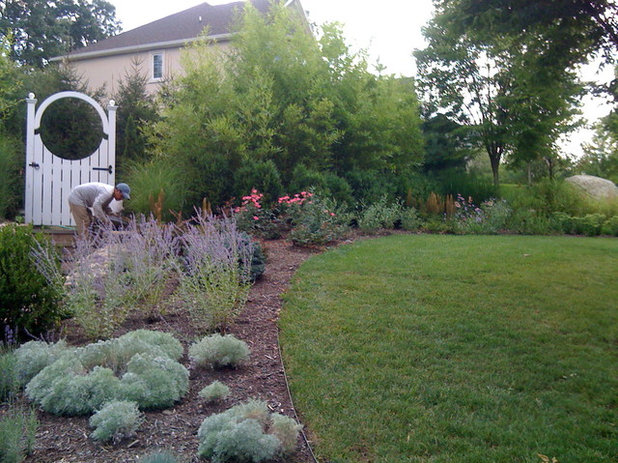 Traditional Landscape by Little Miracles Designs