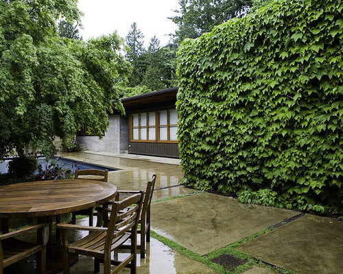 Backyard Hardscape Home Design Ideas, Pictures, Remodel and Decor