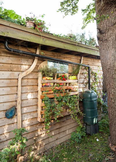 Rustic  by Chris Snook