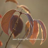 Dave Townsend's photo
