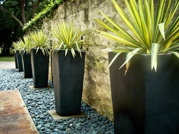Contemporary Garden by BLUE Renovation & Landscape